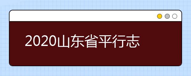 2020山東省平行志愿怎么報？平行志愿分幾類？