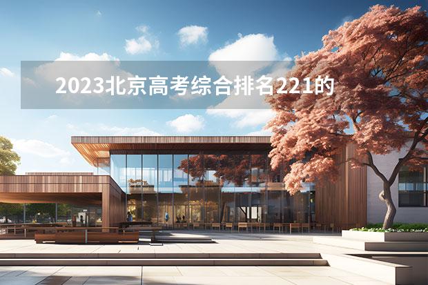 2023北京高考綜合排名221的考生報什么大學