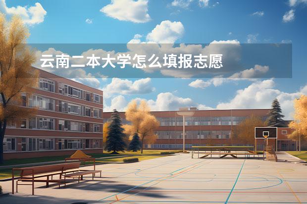 云南二本大學怎么填報志愿