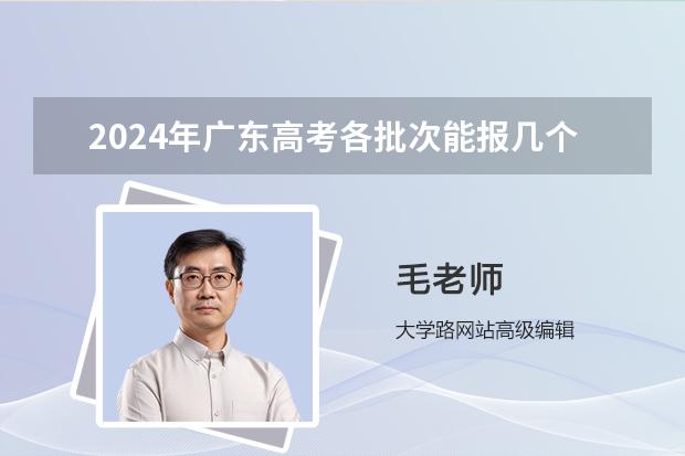 2024年廣東高考各批次能報(bào)幾個(gè)志愿